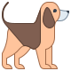 cat-icon